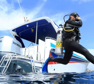 Diving cylinder scuba tank or diving tank is a gas cylinder 360x320