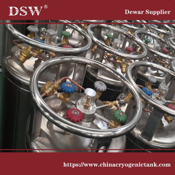 cryo LN2 Dewars