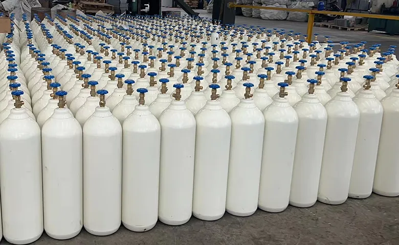 Portable small oxygen cylinder for on-site industrial and medical use