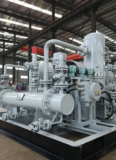 air-compressor-diaphragm-flexible-membrane Air compressor diaphragm flexible membrane for oil free gas separation and pressure control